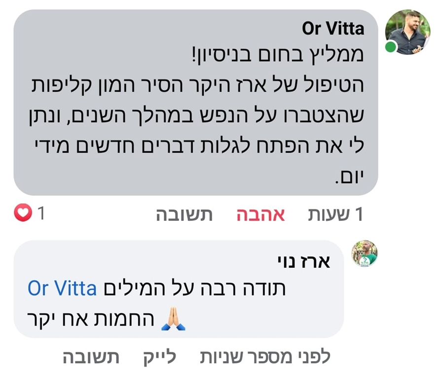 315851595_10230581404017417_6815927605874468458_n_900x757-r(1)